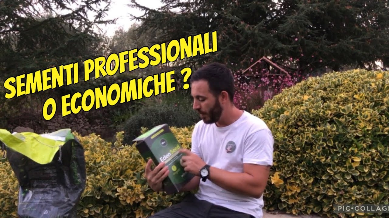 Sementi per il prato ! Cosa comprare ?