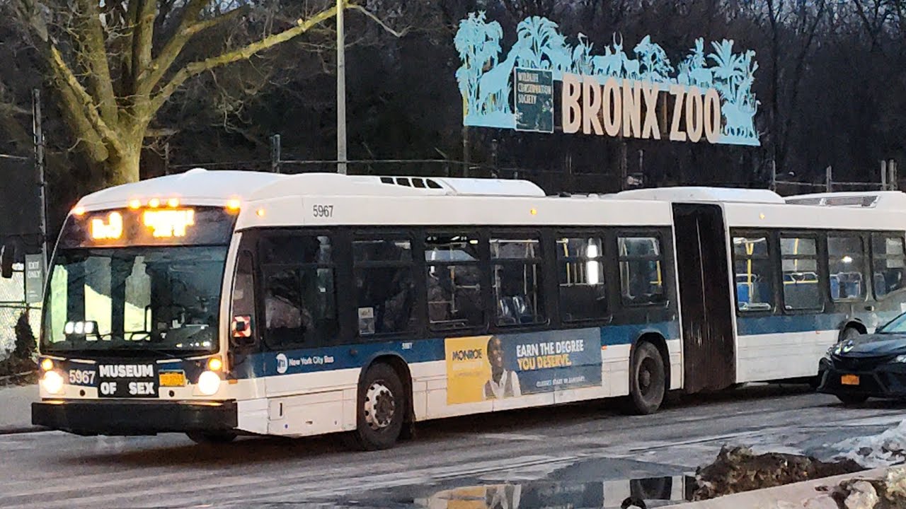 MTA LFSAs XN60 NYC Bus Bx9 Bx19 Bronx Zoo Southern Boulevard Not in Services 2026
