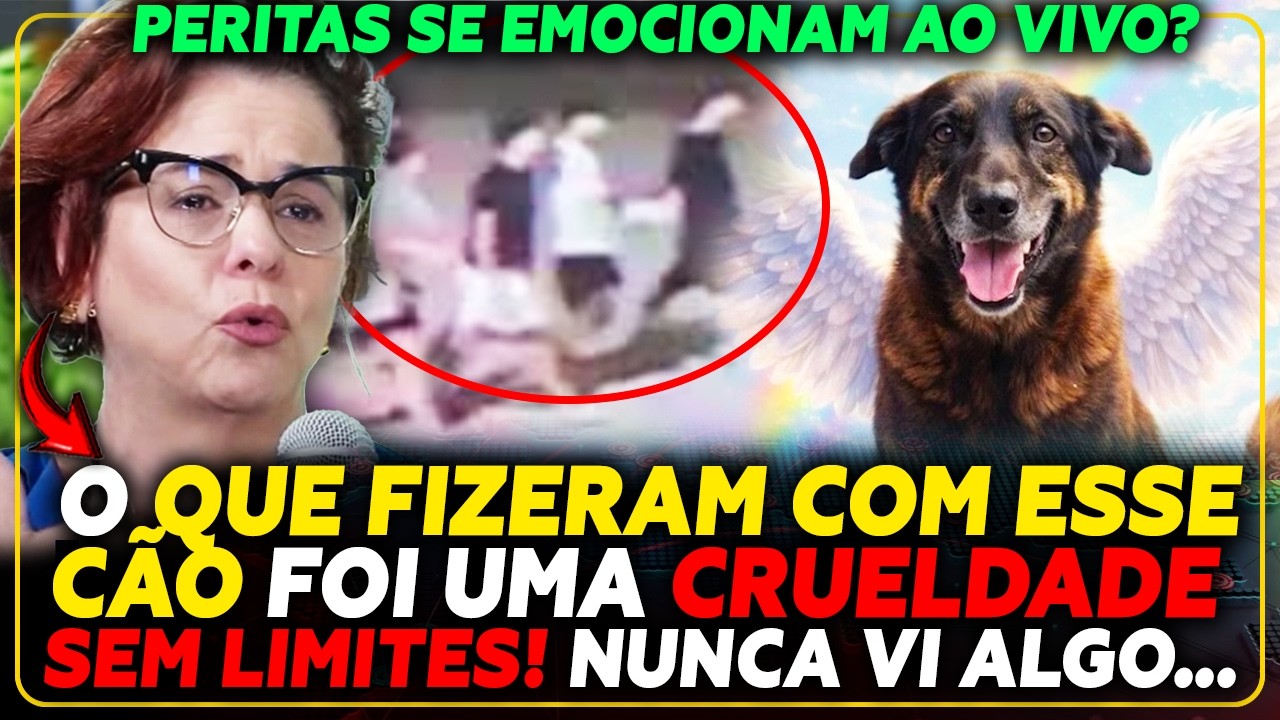 CÃO ORELHA: O QUE ESTÁ POR TRÁS? PERITAS SE EMOCIONAM AO VIVO? Com Carla Albuquerque e Alessandra