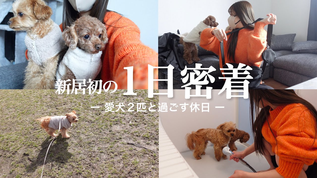 【休日】ほぼ新居完成！慣れない新居での新生活