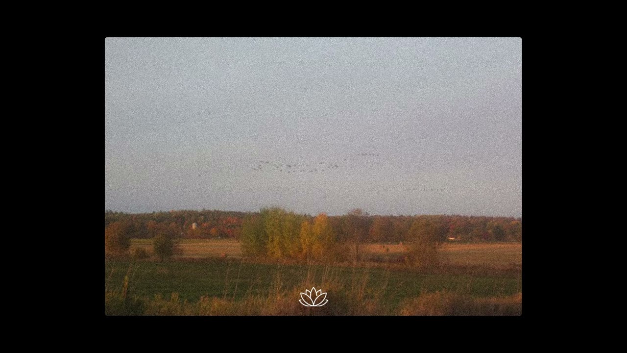 Sam Barber x Acoustic Guitar Type Beat - &ldquo;Forest&rdquo;
