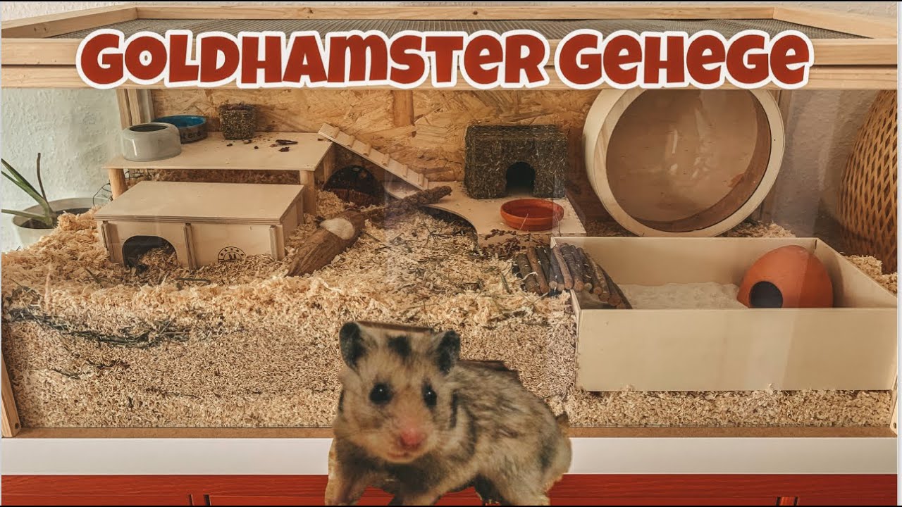 Gehege einrichten Goldhamster - Artgerechtes Nagarium