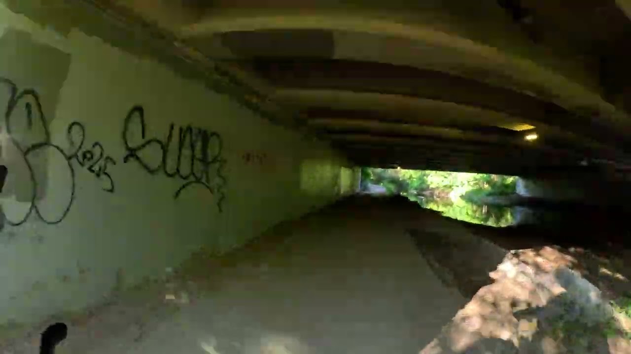 PART 1. Etobicoke Creek Trail.