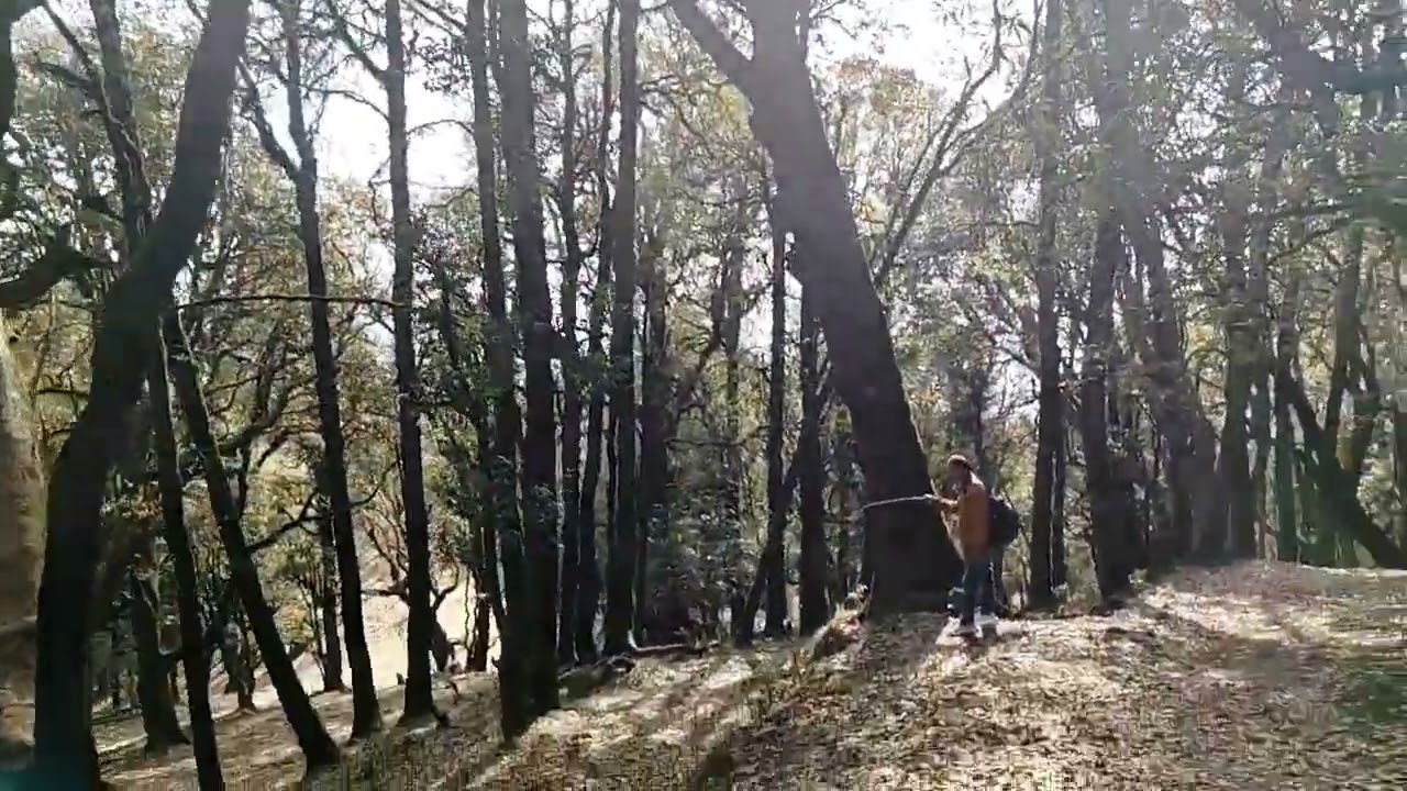 Devbhoomi Uttarakhand 
