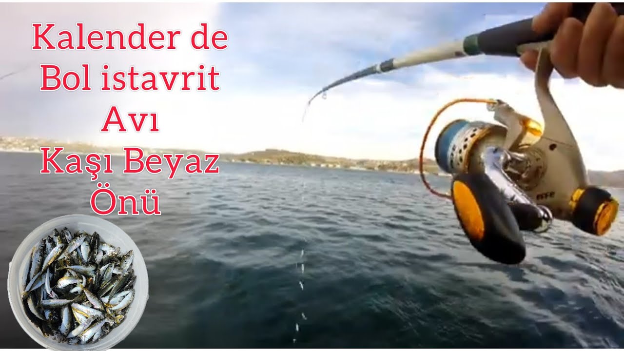 Kalander istavrit avı/kaşı Beyaz önünde balık avı/boğazda istavrit avı