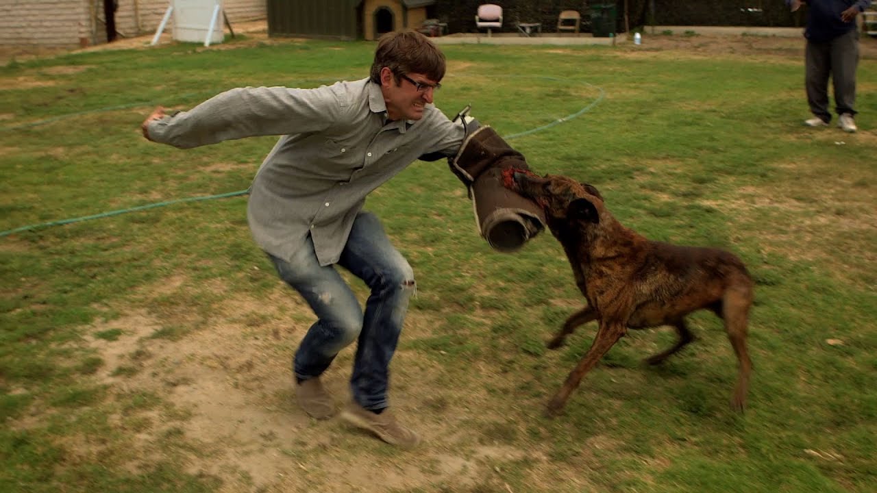 Louis is attacked by a 'weaponized' dog - Louis Theroux's LA Stories: Episode 1 Preview - BBC