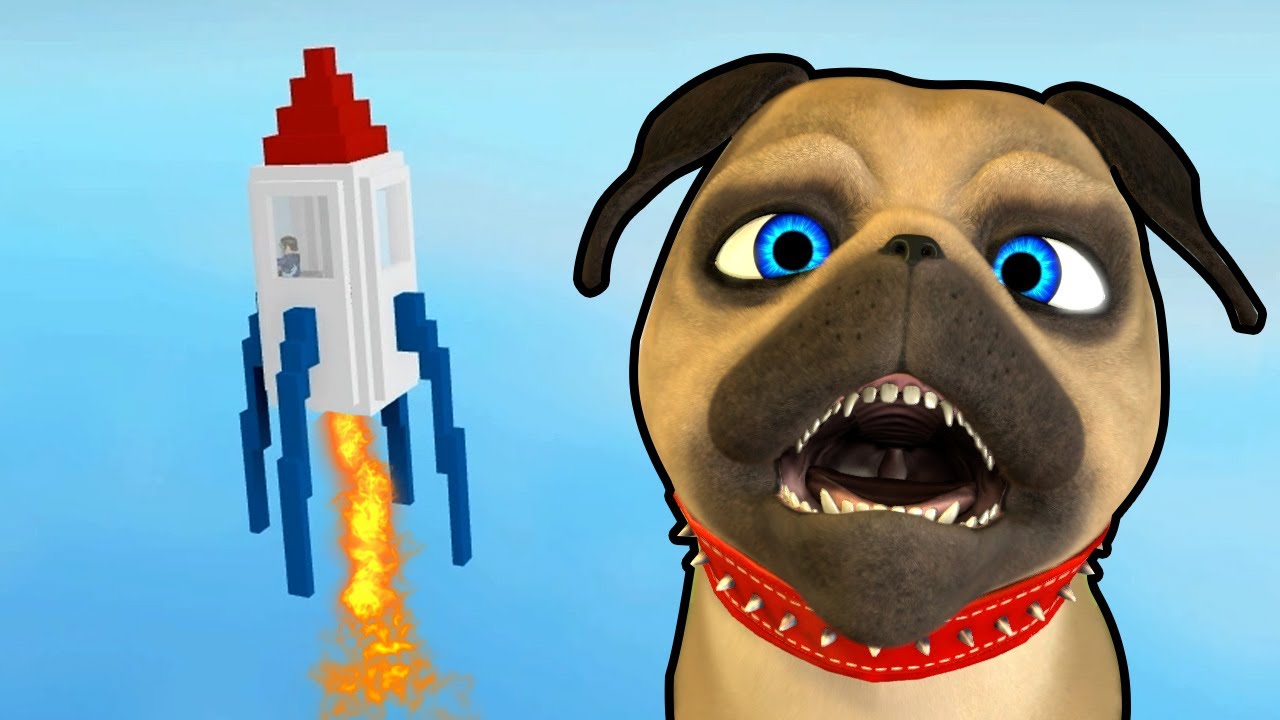 Cocopug Going To Space In Roblox