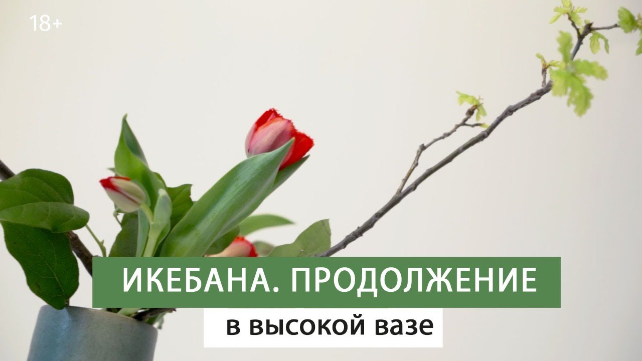 Икебана своими руками. Композиция из цветов