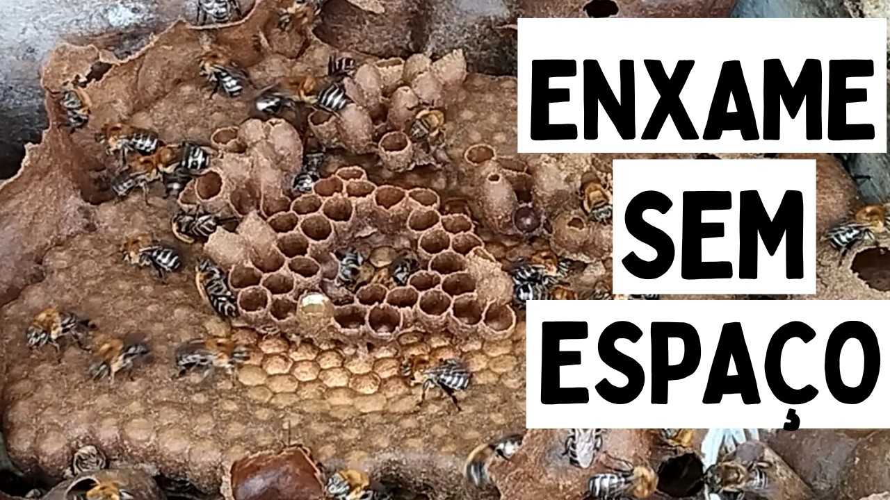 O QUE FAZER QUANDO ISSO ACONTECE