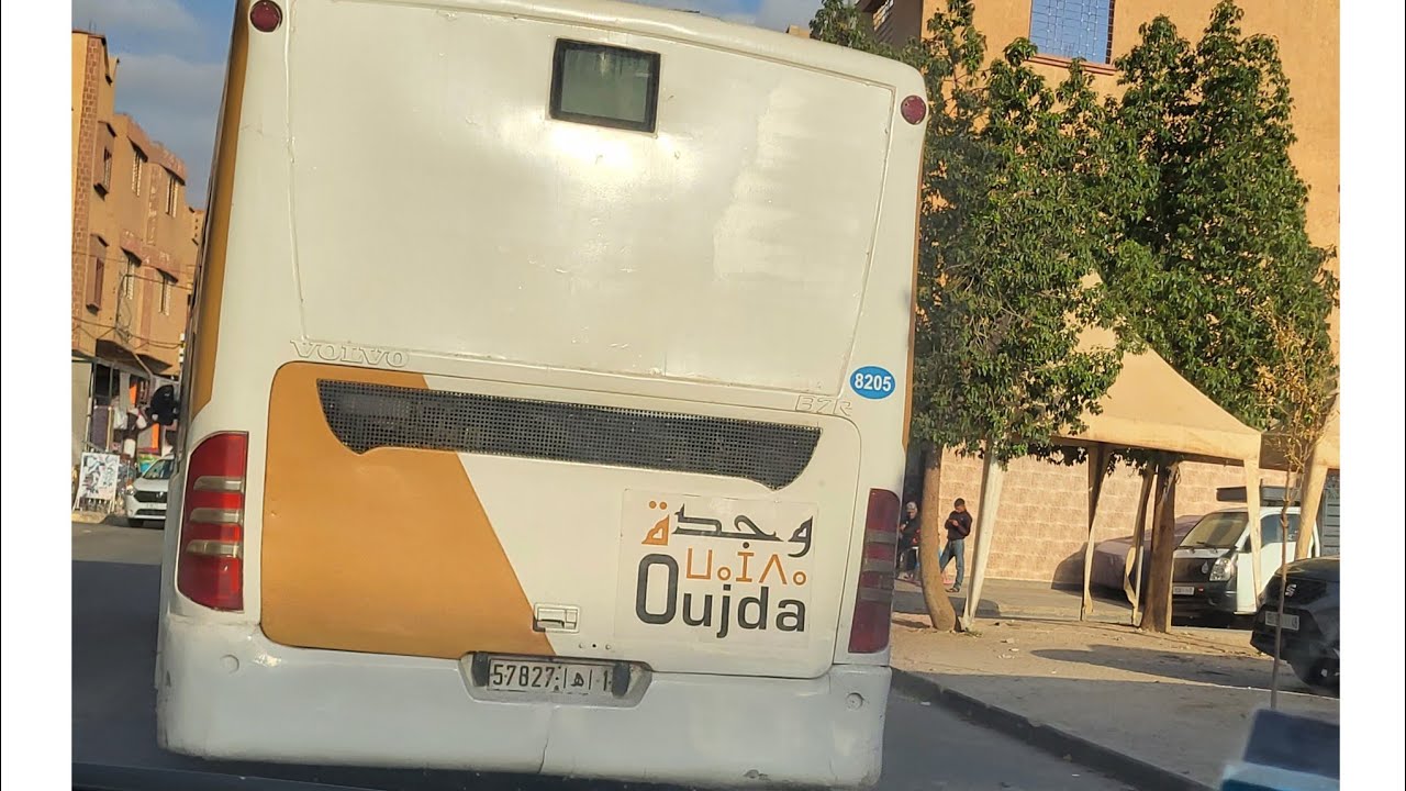 VILLAGE  KOULOUCHE ET LES ALENTOURS D'OUJDA👍👍🌴🌴🍉🍉🥝🐈‍⬛🐕🐴🐏🐑