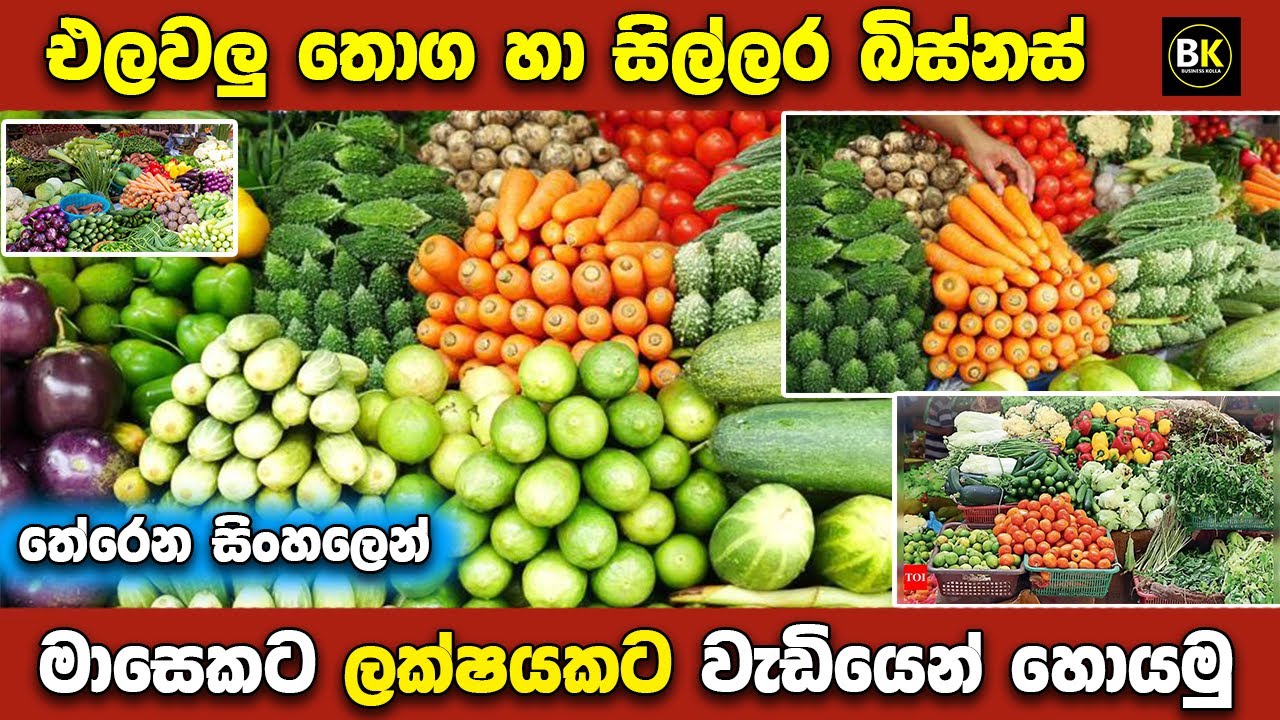 එලවළු බිස්නස් එකක් පටන් ගමු | How to make vegetable business | New business ideas