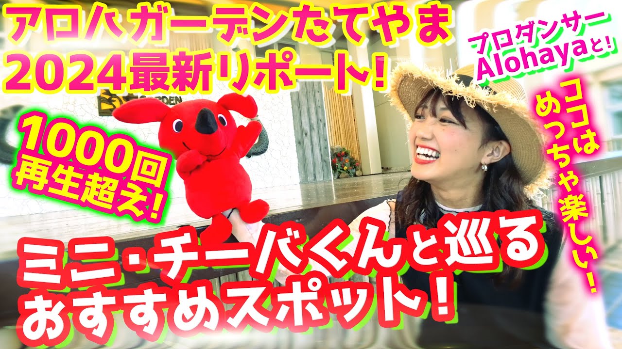 2024最新版『アロハガーデンたてやま』《ミニ・チーバくん と巡るAlohayaおすすめスポットを体験リポート★東京湾フェリーもチーバくんダンスも》