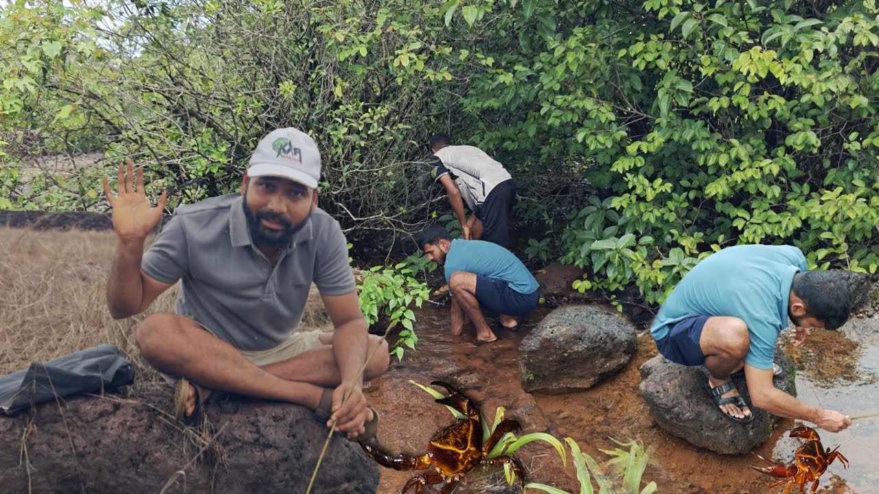 गरवून पकडले सड्यावरचे खेकडे , गरवून खेकडे पकडण्याची मज्जा | Traditional crab catching @TejaGurav 