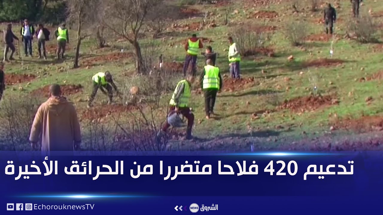 #الشلف| تدعيم 420 فلاحا متضررا من الحرائق الأخيرة بشتلات الاشجار المثمرة