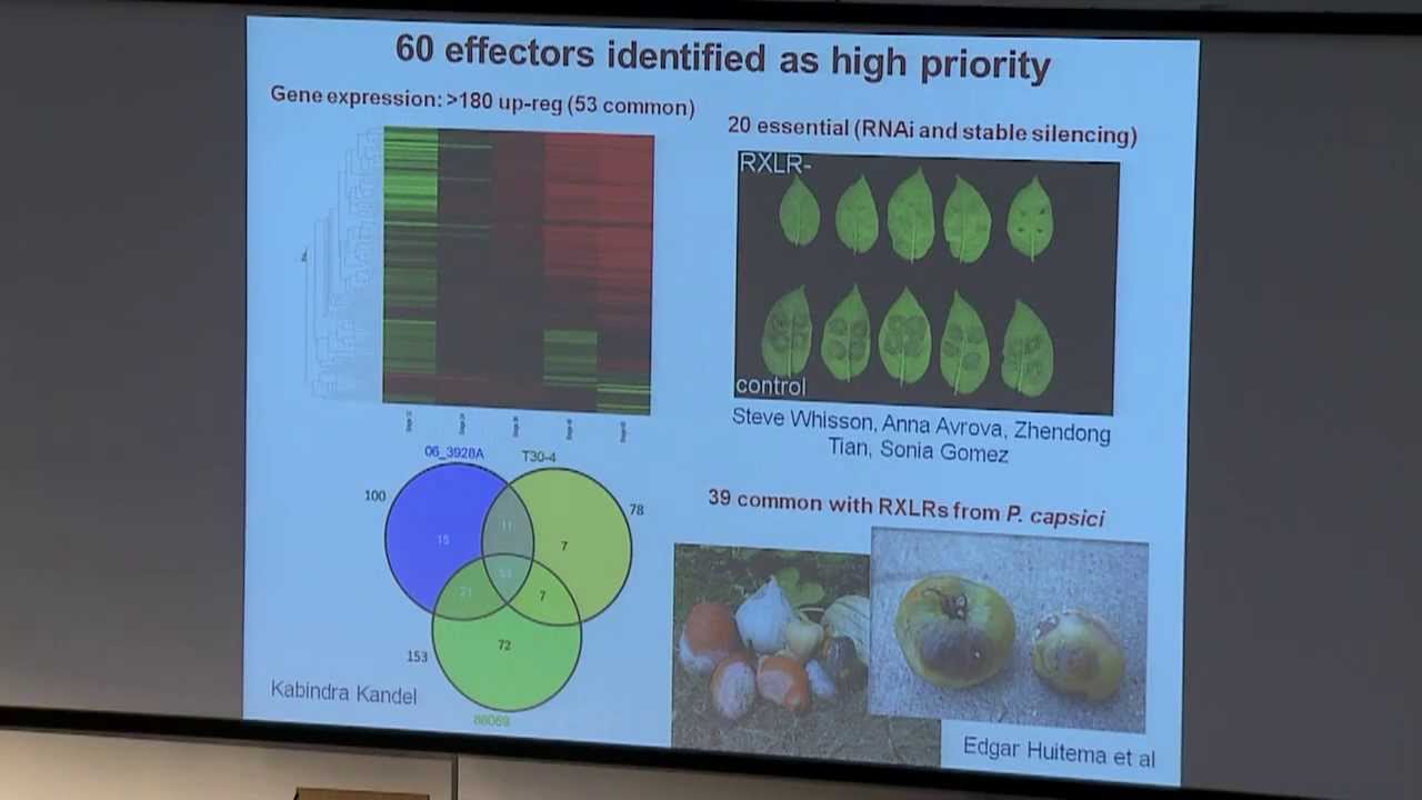 PAUL BIRCH. Disease or disease resistance?