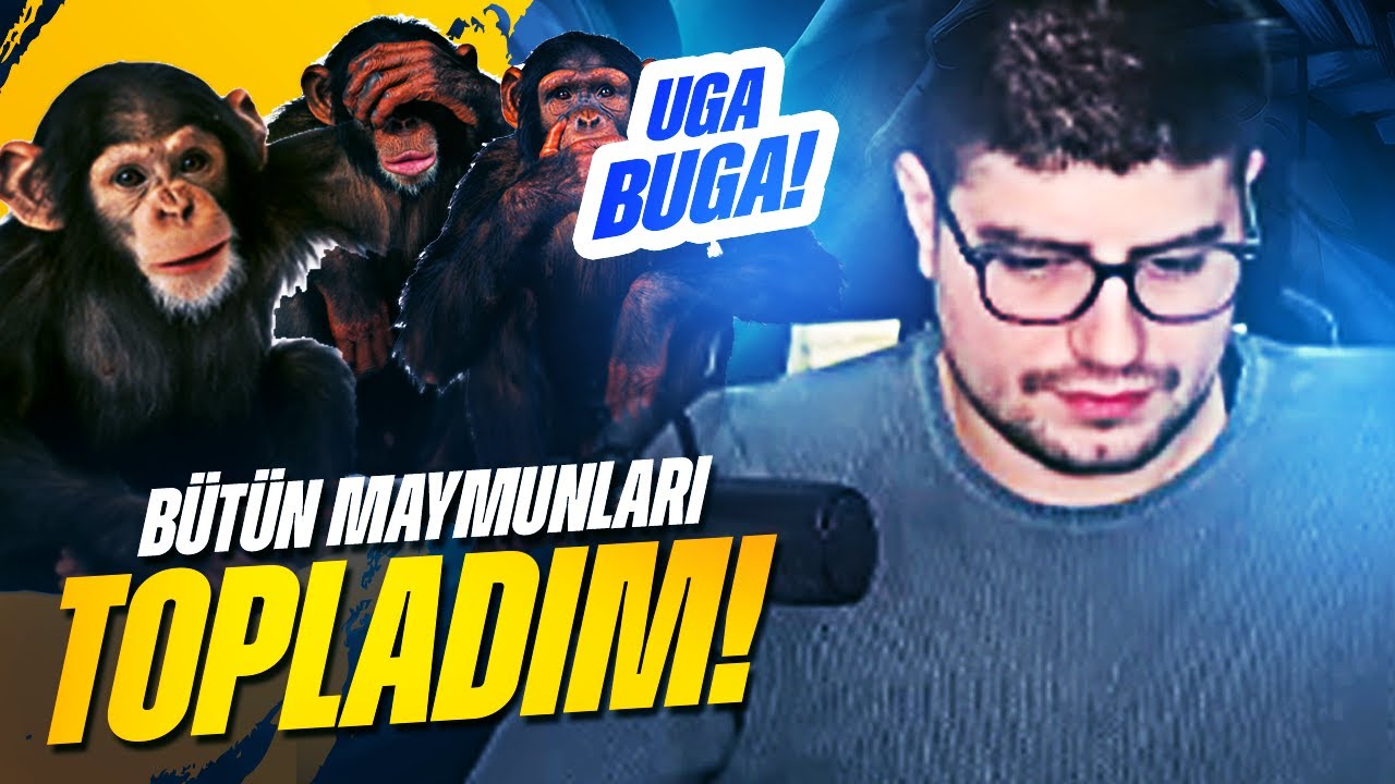 BU KADAR MAYMUNU Bİ ARADA GÖRMEDİNİZ !! TAM BİR HAYVANAT BAHÇESİ !!! | Apophis