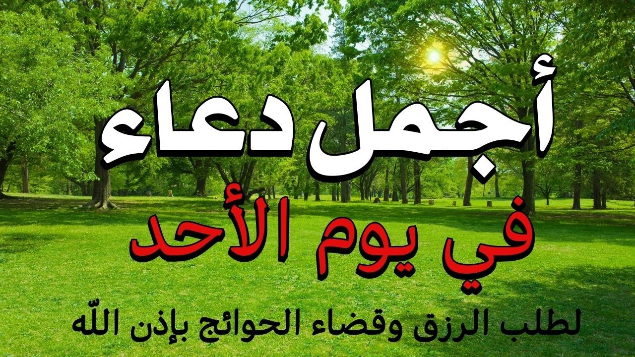 دعاء في يوم الأحد 🤲 دعاء في رمضان  يوم 25 من شهر رمضان للرزق والشفاء العاجل وقضاء الحوائج 🤲