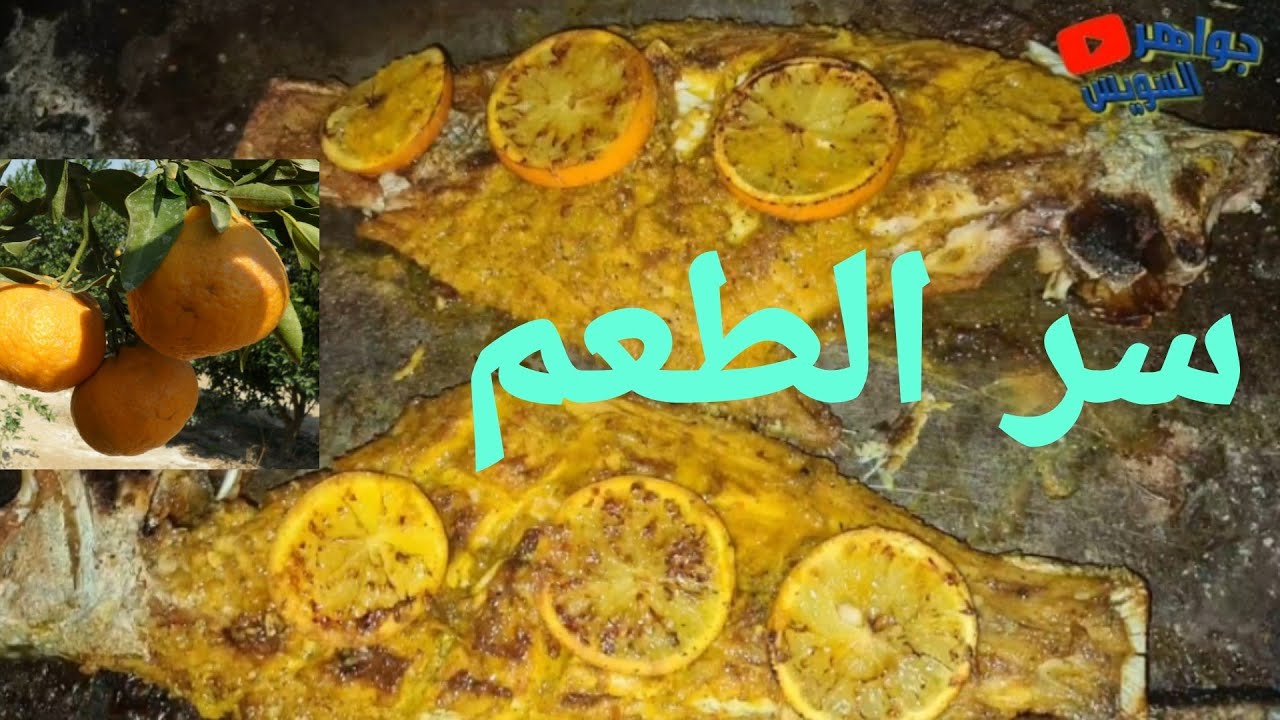 грильгриль подошваприготовления рыбы🐟 ♨️