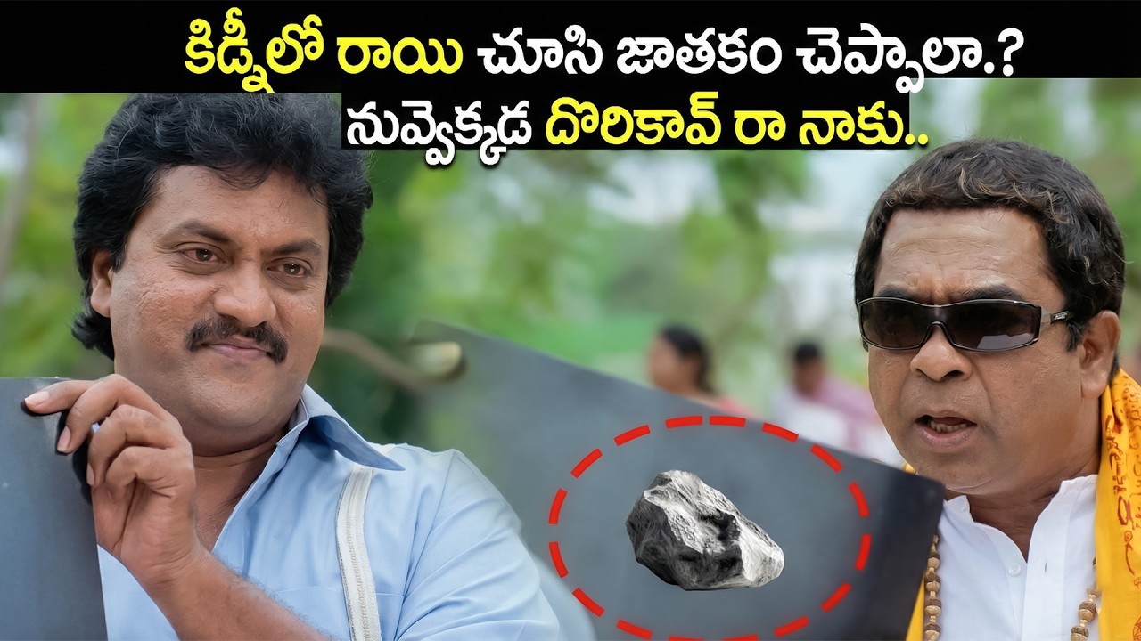 Brahmanandam Sunil Comedy Scenes | Non-Stop Laughter Guaranteed | Telugu best Comedy | iDream