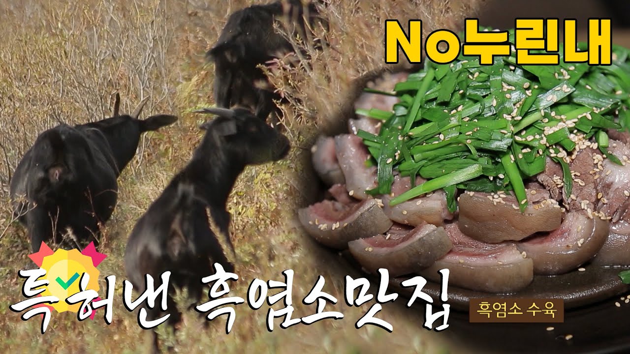 흑염소요리에 특허 낸 화순 흑염소 맛집│테마기헹 길 241227 방송