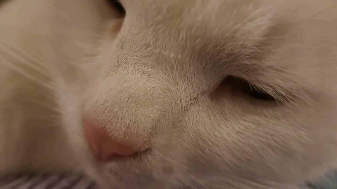 Can we normalise snoring with our eyes open?