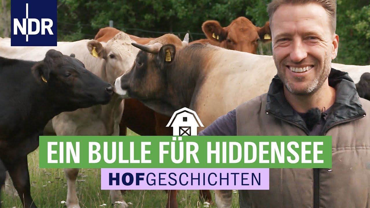 Handel mit Rindern als Einnahmequelle | ARD-Hofgeschichten - Ackern zwischen Alpen und Ostsee | F2