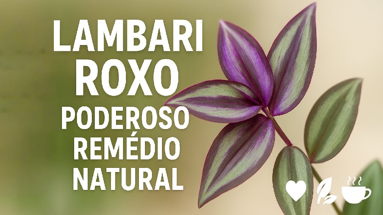 Lambari Roxo &ndash; Descubra os Incr&iacute;veis Benef&iacute;cios para Sua Sa&uacute;de! 🌿💜