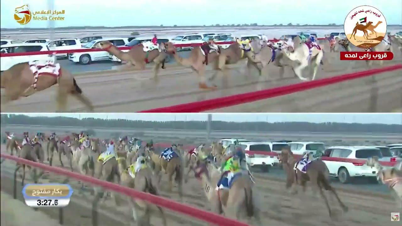 الشوط 1 بنت هياض لـ يوسف غانم محمد اهلي 5:57:1( مهرجان سمو ولي عهد دبي 2026 )