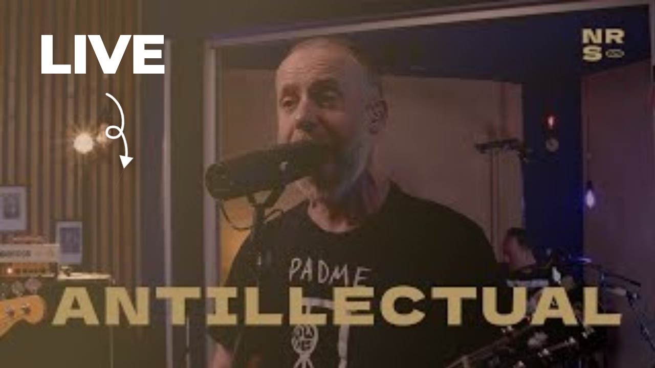 Europe Is Falling Apart, But The Punk Scene Is Thriving: Antillectual