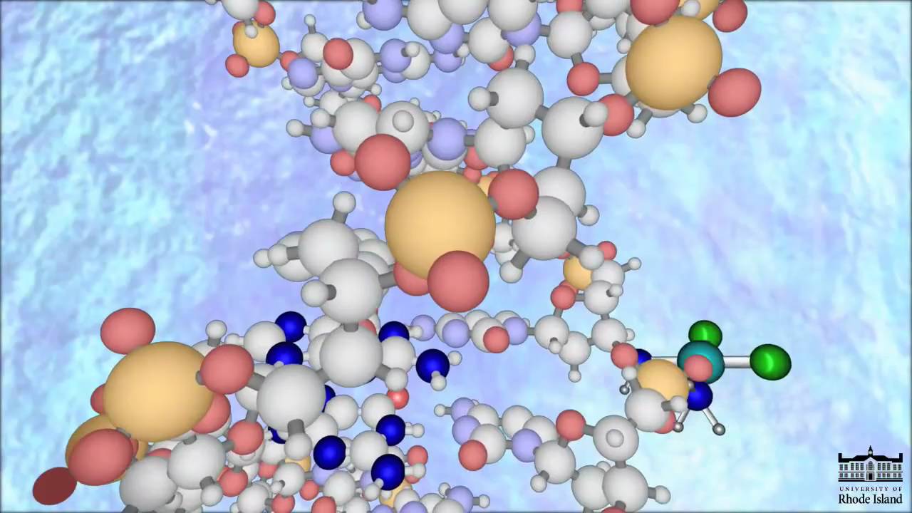 The Mechanism of Cisplatin (New -HD)