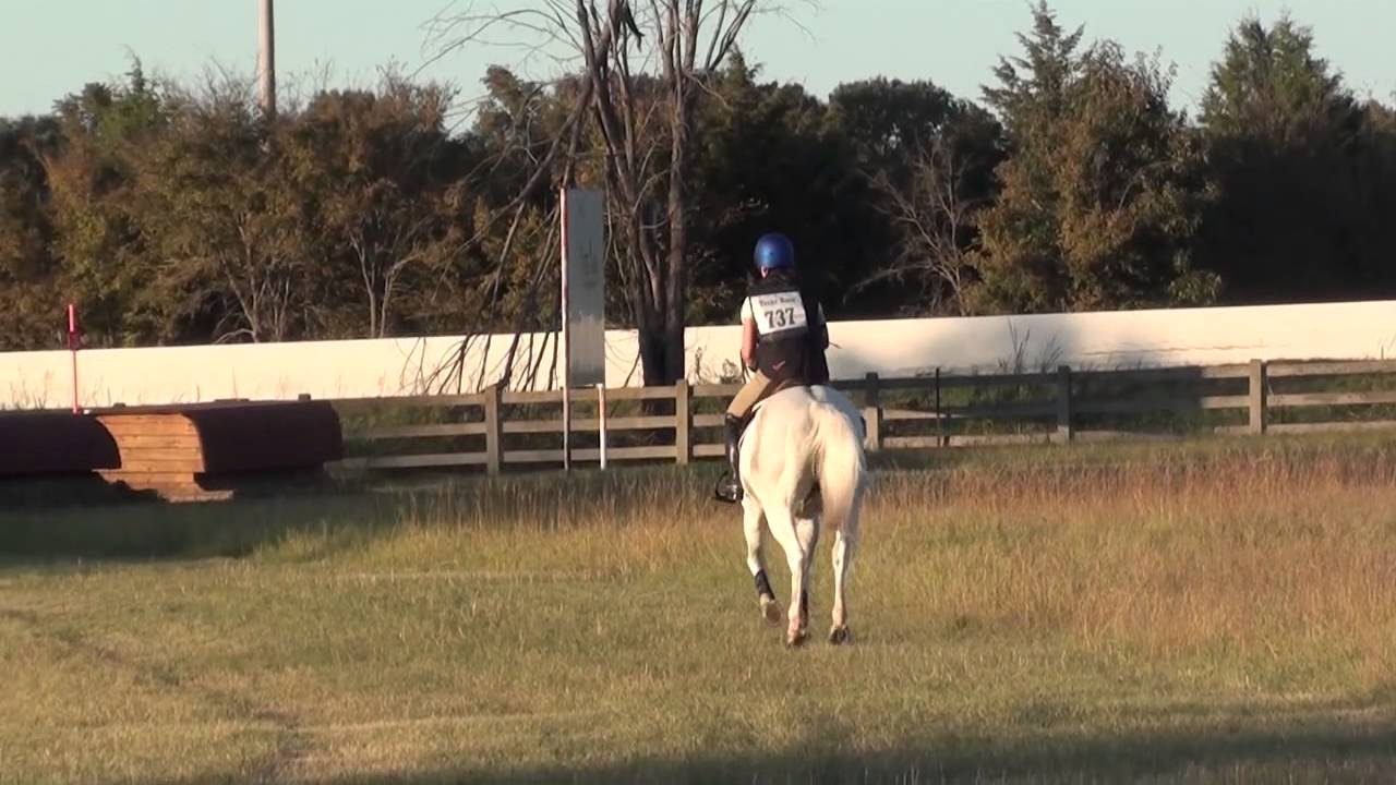 Debbie Springer & Thomas Crown at Texas Rose Horse Park Fall Horse Trials 2014