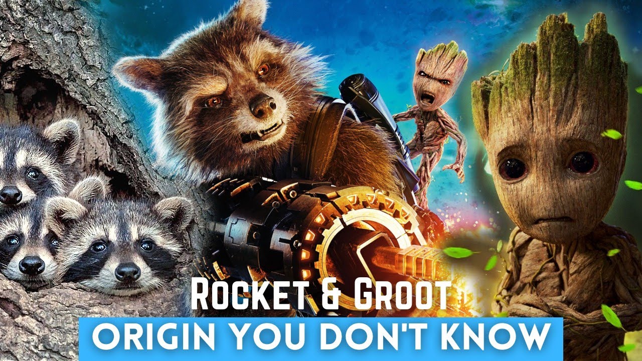 Rocket & Groot Origin You Don't Know! | MCU Never Cared To Explain