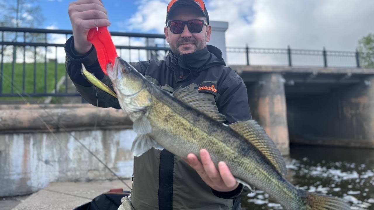 Минск комсомольское озеро- Стелла. Запись стрима от 14 февраля 2026