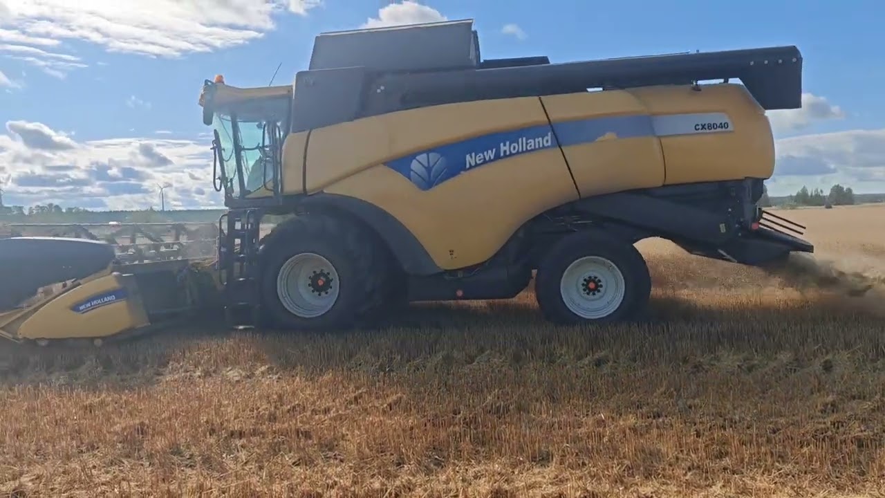 Jacky-kauran puintia | New Holland cx8040