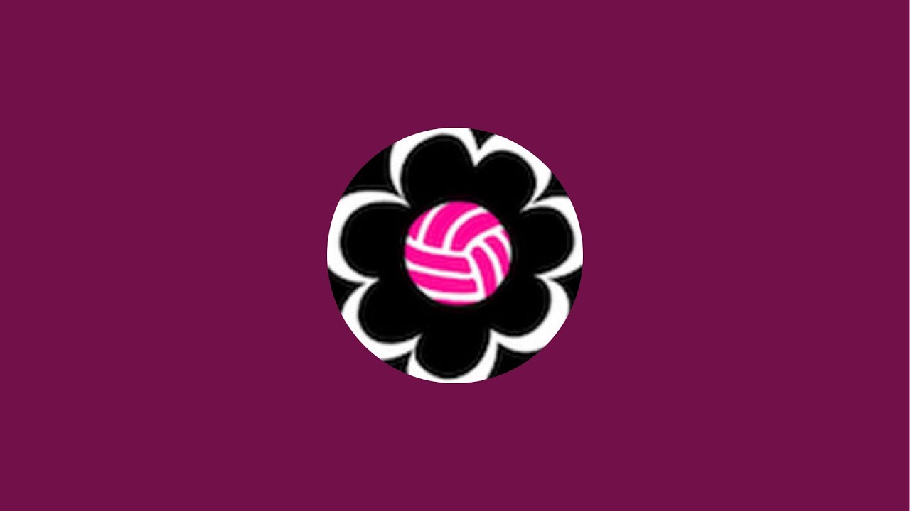 CHiX 17-PiNK vs Metro 17 Purple