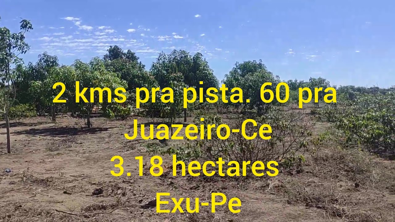Exu-Pe. O local &eacute; bonita e agrad&aacute;vel. 87981363923. Era 50