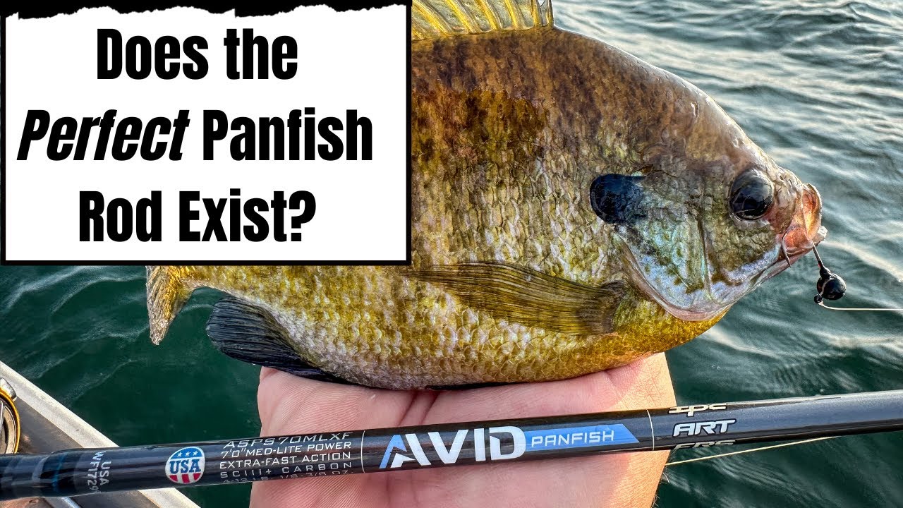 If You Could Only Pick One... How To Choose A Good All-Around Panfish Rod