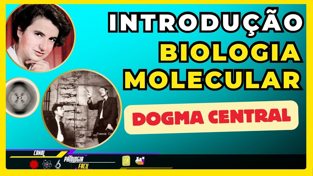Introdução à biologia Molecular - Ensino superior [Atualizado 2025]