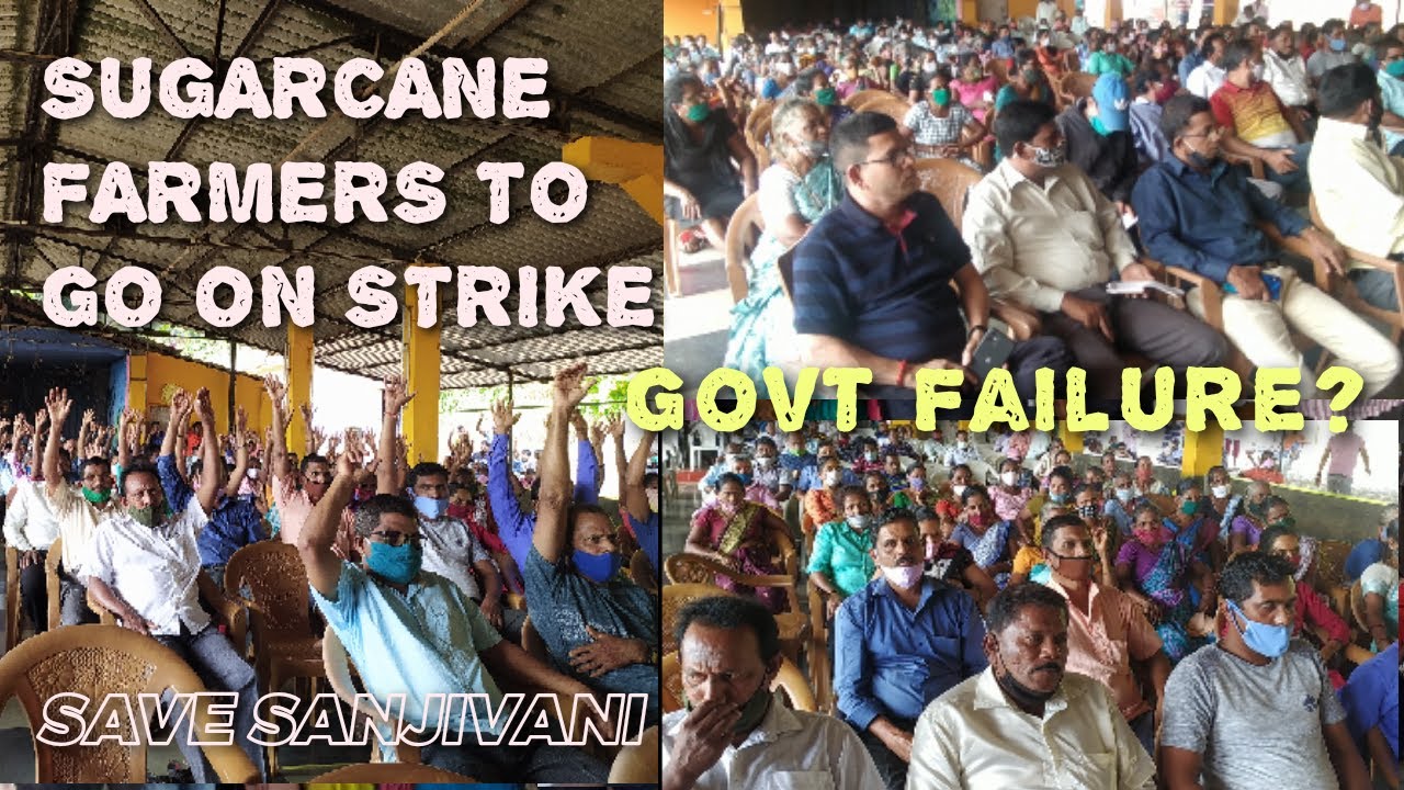 SUGARCANE FARMERS TO GO ON STRIKE