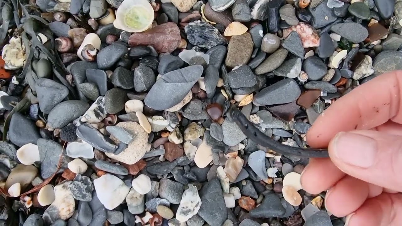 Sea Glass Ireland beachcombing in Bangor Co Down in February 2023