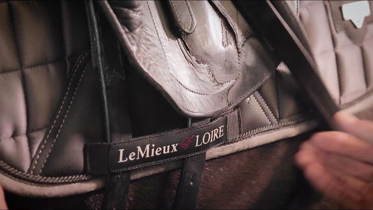 The Loire Satin Memory Foam Dressage Pad by LeMieux