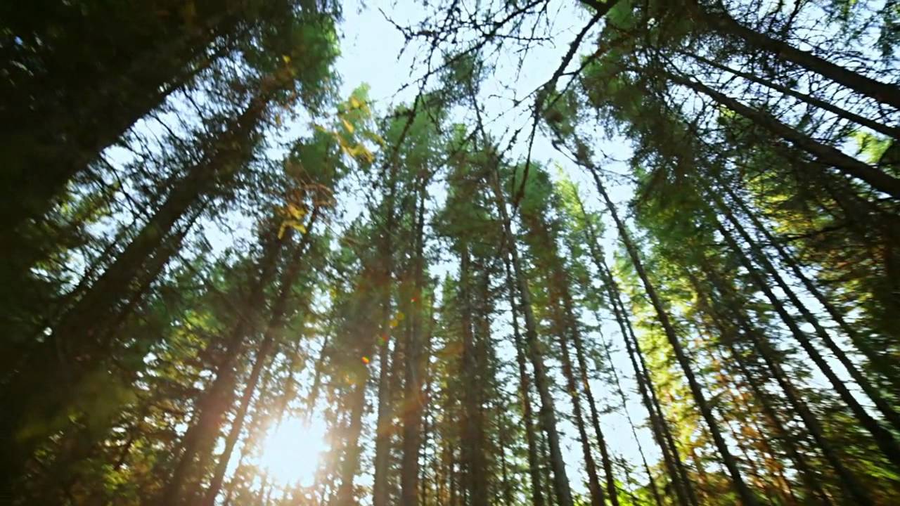 Tourisme Abitibi-Témiscamingue - C'est beau comme c'est vrai
