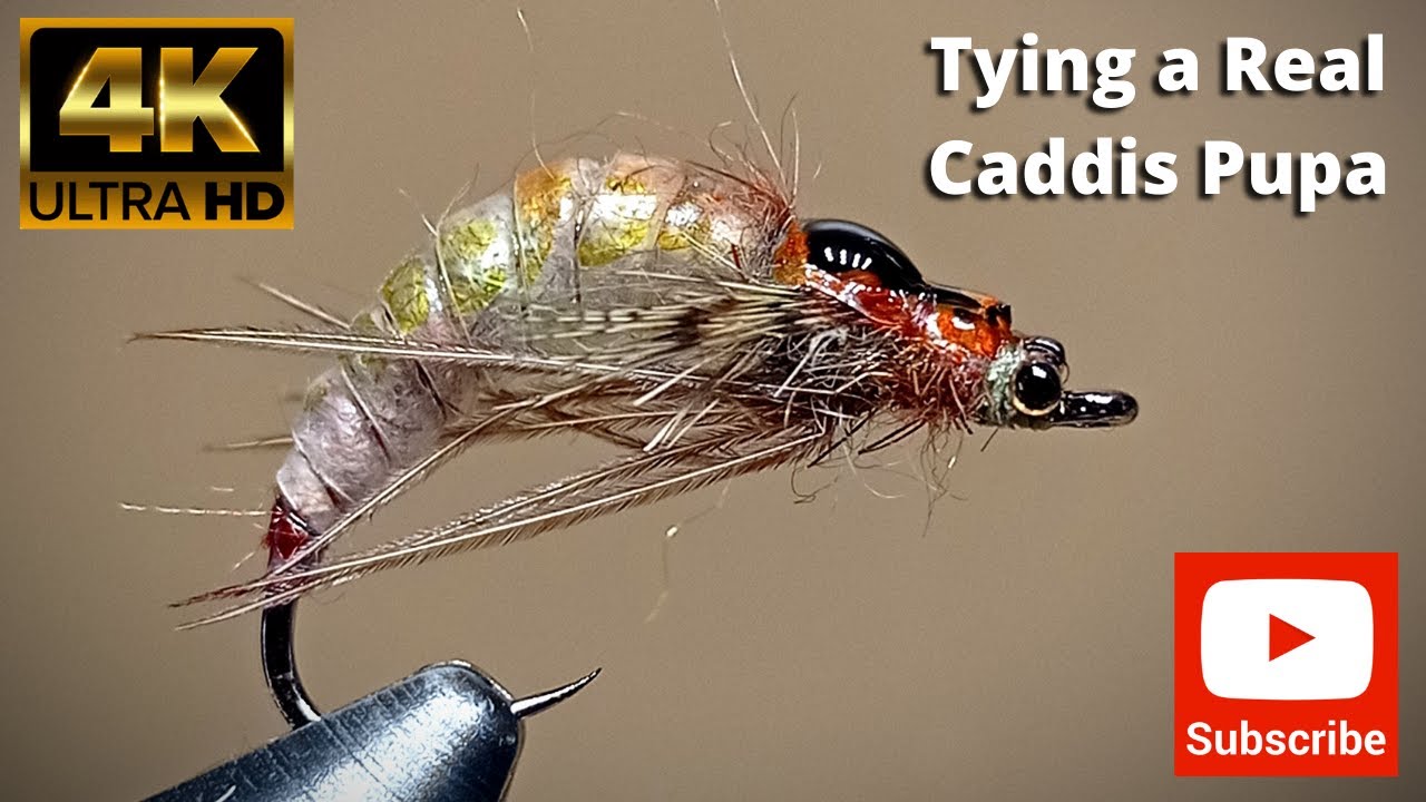 Tying a Real Caddis Pupa by George 4K