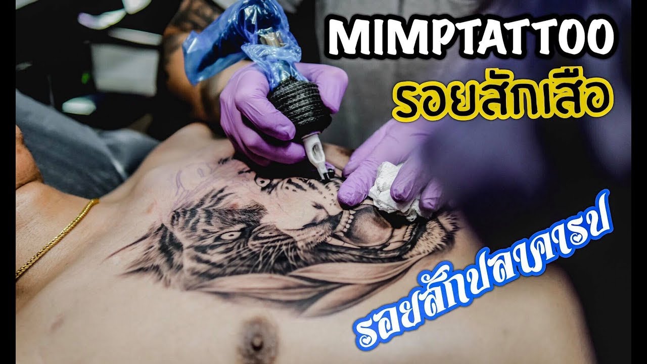 รอยสักเสือ ภาพเหมือน และปลาคารป Tiger tattoo, Koi fish tattoo