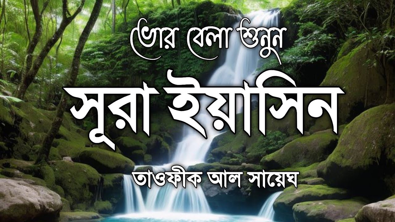 মায়াবী কন্ঠে তেলাওয়াত | প্রতিদিন সকালে শুনুন সূরা ইয়াসিন | SURAH YASEEN beautiful quran Tilawat