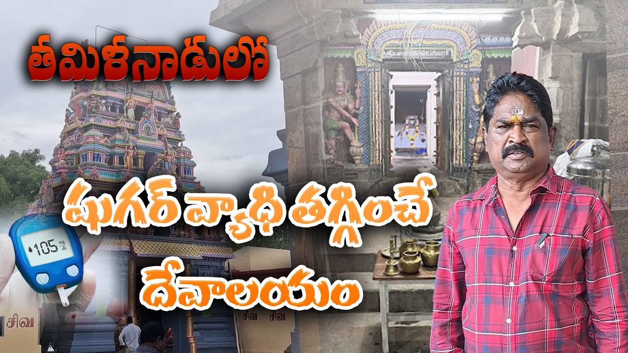 తమిళనాడులో షుగర్ వ్యాధి తగ్గించే దేవాలయం Temple in Tamil Nadu that reduces diabetes #daibetestemple