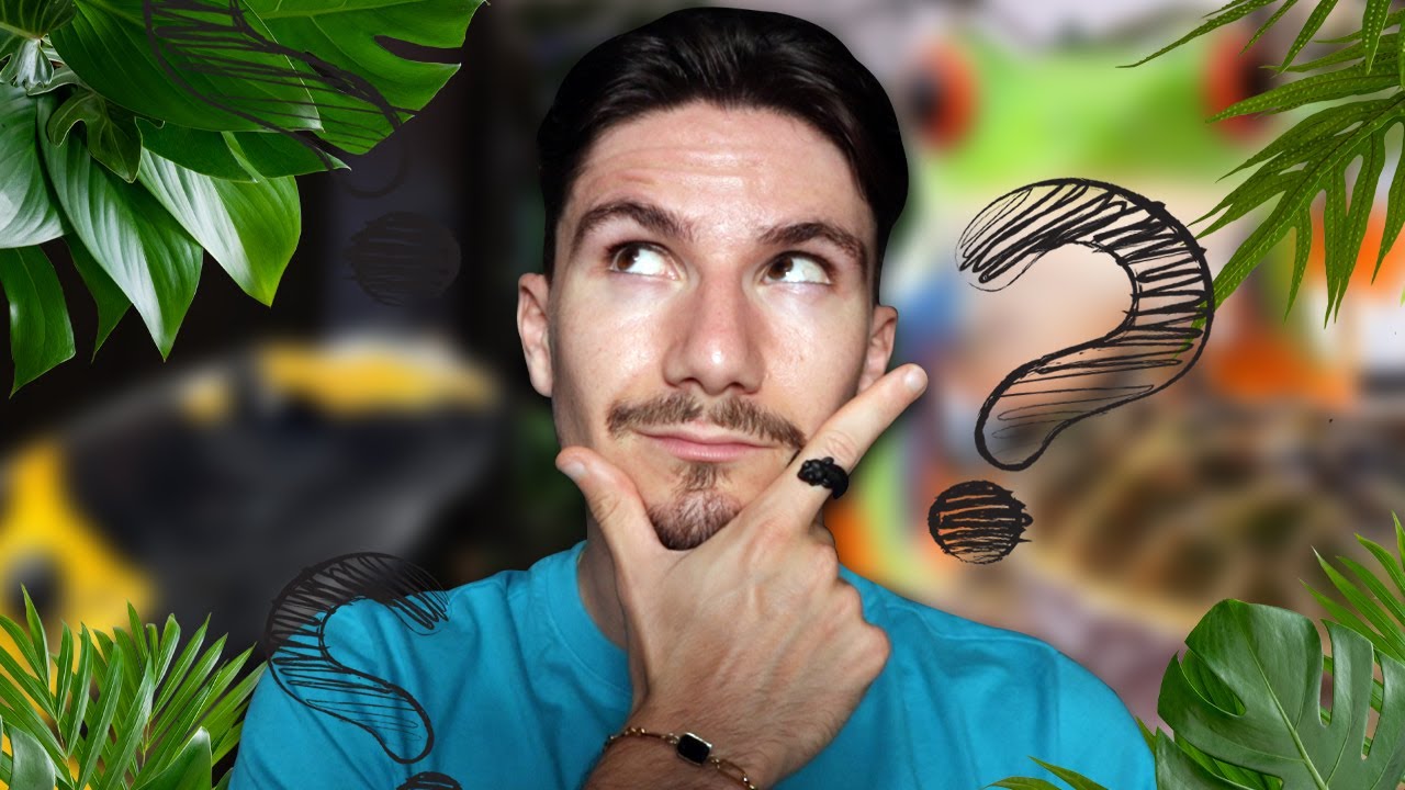 3 Amphibiens pour débuter en terrariophilie ? (des espèces étonnantes)