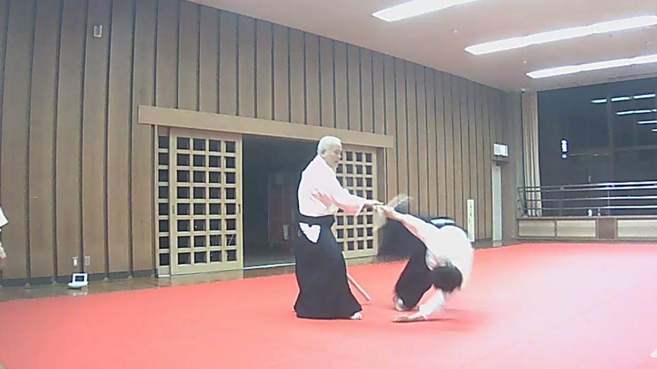 合氣道八和会　一の太刀　応用技