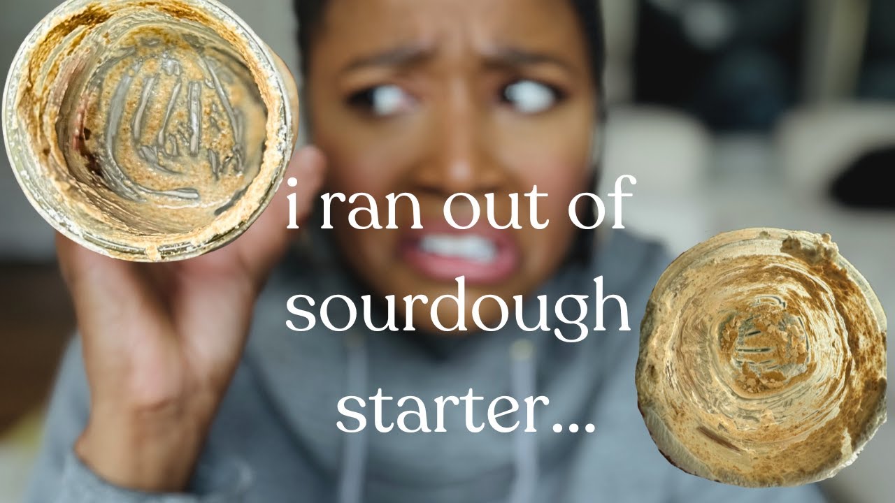 reviving a sourdough starter from almost nothing | tips for beginners