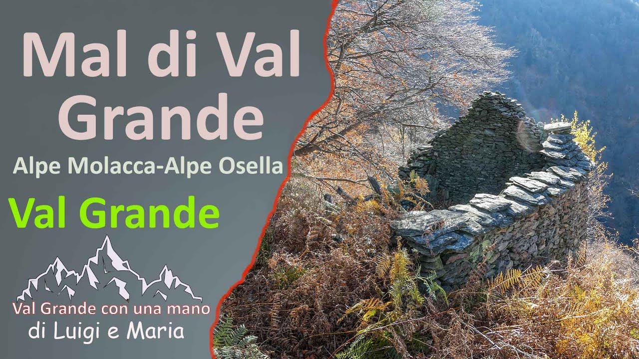 Parco Nazionale Val Grande: Alpe Molacca, Alpe Osella, Alpe Curgei.